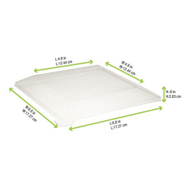 Coperchio di Plastica PET 17x17cm (100 Pezzi)