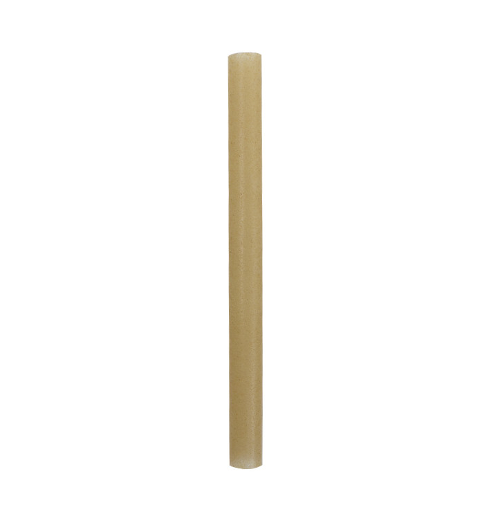 Cannucce Bio Dritte in Canne da Zucchero Ø1,2cm 15cm (50 Pezzi) Cannucce Bio Dritte in Canne da Zucchero Ø1,2cm 15cm (50 Pezzi)