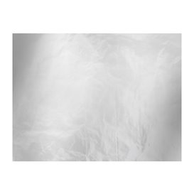Carta Antigrasso Accoppiata con Alluminio 31x41cm (1.000 Pezzi)