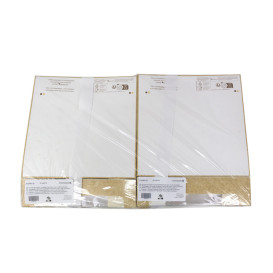 Scatola in Cartone Quadrata PackiPack Vision Kraft 24x24x6cm (50 Pezzi)