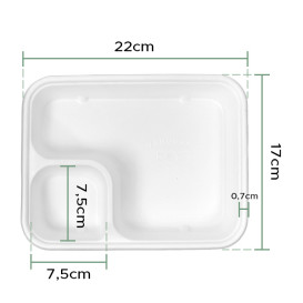 Porta Canna Zucchero 17x5x3,5cm (1000 Pezzi)