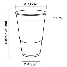 Bicchiere Plastica PP Trasparente 300ml Ø7,3cm (100 Pezzi)