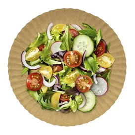 Piatto di Carta Tondo Kraft 21cm 255g/m2 (1000 Pezzi)