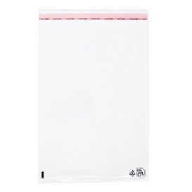 Sacchetti di Polipropilene  BOPP Piega Adesivo 25x35cm G160 (100 Pezzi)