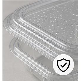 Contenitore Quadrato Coperchio PET 250 ml (100 Pezzi)