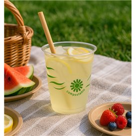 Bicchiere in PLA Biodegradabile "Green Spirit" Trasparente 250ml (50 Pezzi)