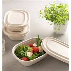 Coperchio Canna Zucchero per Ciotola 19X15cm (50 Pezzi)