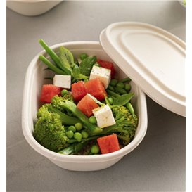 Coperchio Canna Zucchero per Ciotola 19X15cm (50 Pezzi)