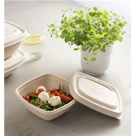 Coperchio Canna Zucchero per Ciotola 13x13cm (500 Pezzi)