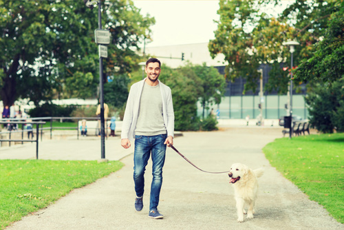 Green Maker 30% più Spesso Biodegradabili Sacchetti di Cacca di Cane 360 Sacchetti  Cane Fatti da Amido di Mais con DIN CERTCO Certificazione (Verde) - Ecopool  Service